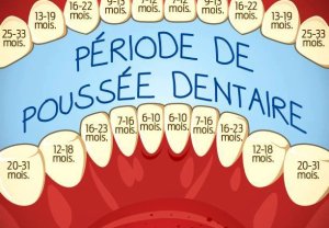 À quel âge votre bébé a-t-il percé sa première dent?